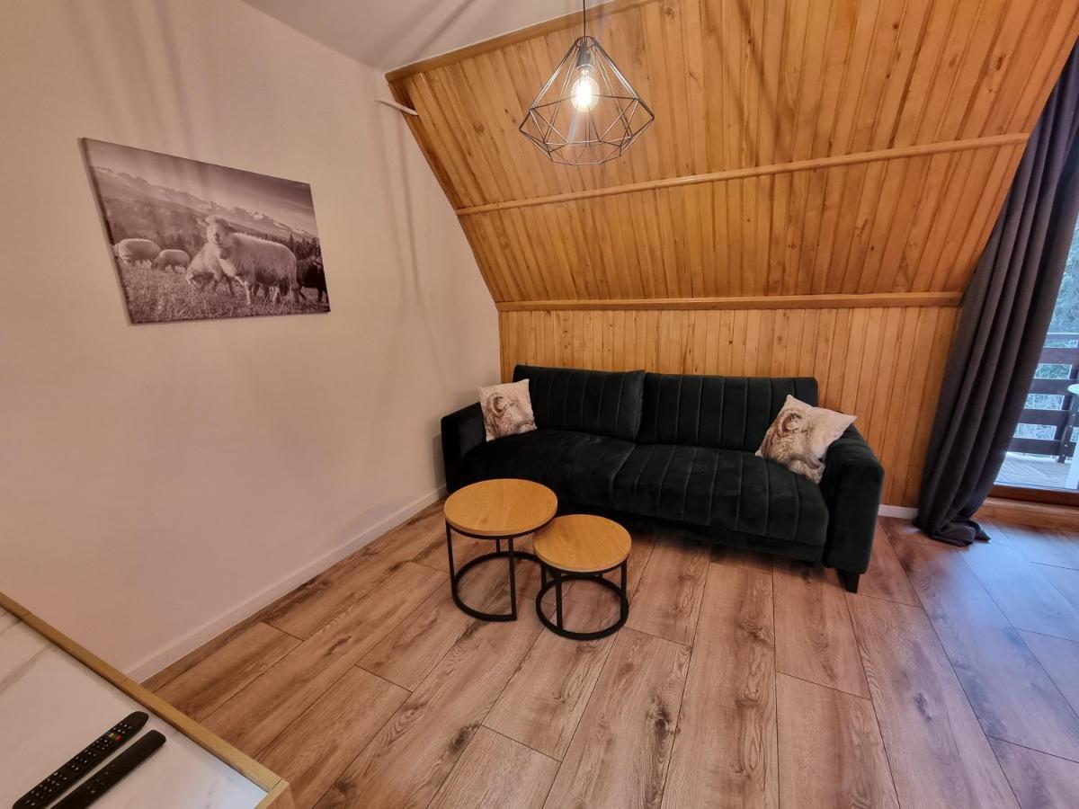 Apartament Klasyczny Z Widokiem Na Giewont Kościelisko Exterior foto